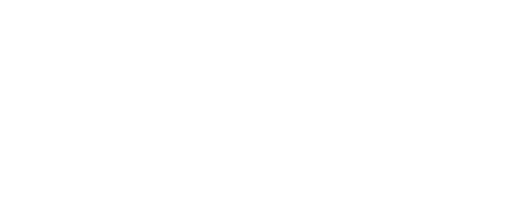 Lost Wingman